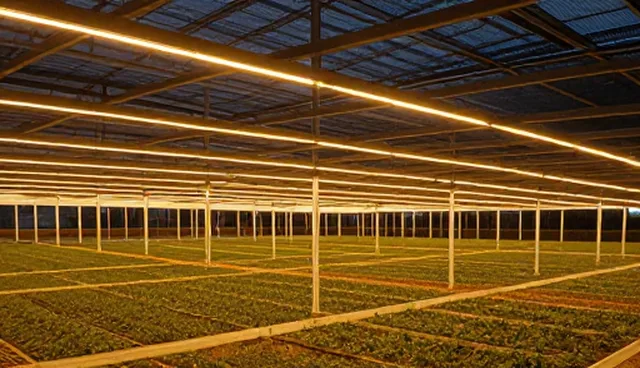 提升协作效率：地区性能优化的业务发展趋势